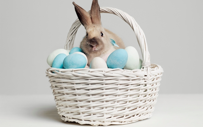 FRASI PASQUA