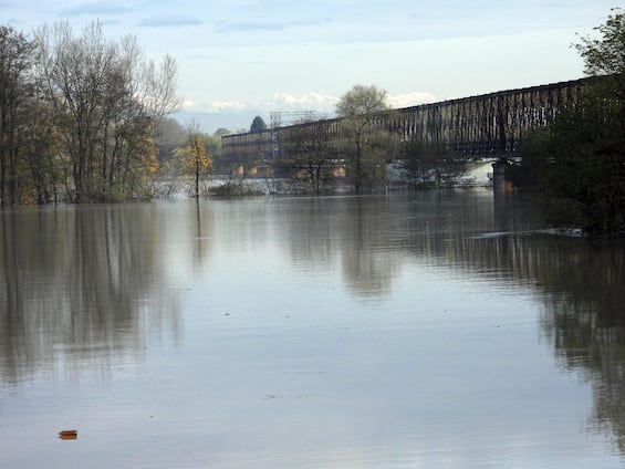 ragazzo annega nel po nel pavese vicino al ponte della becca