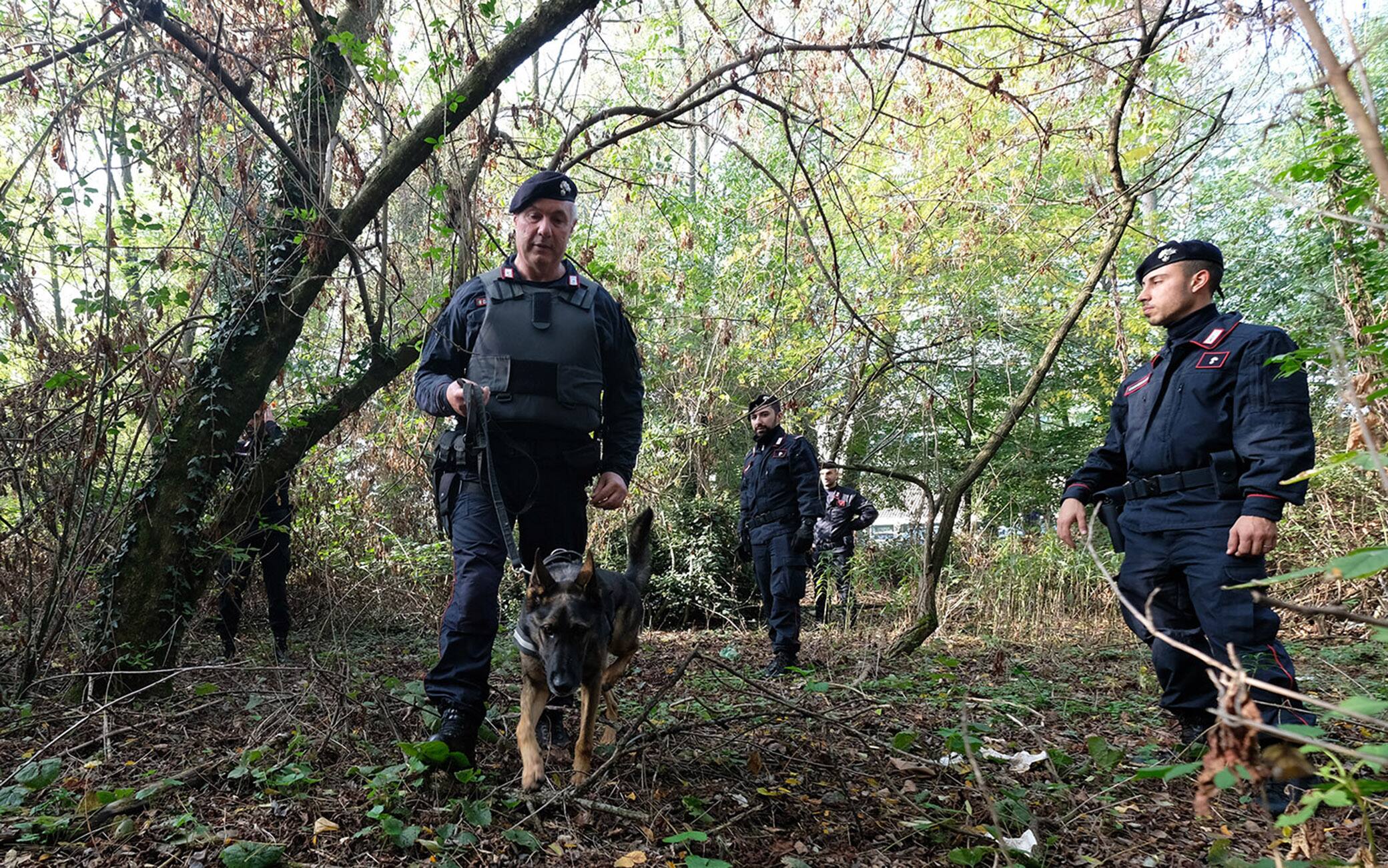 pintus desio carabinieri operazione antidroga parco delle Groane