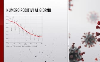 Grafiche coronavirus: numero di positivi al giorno