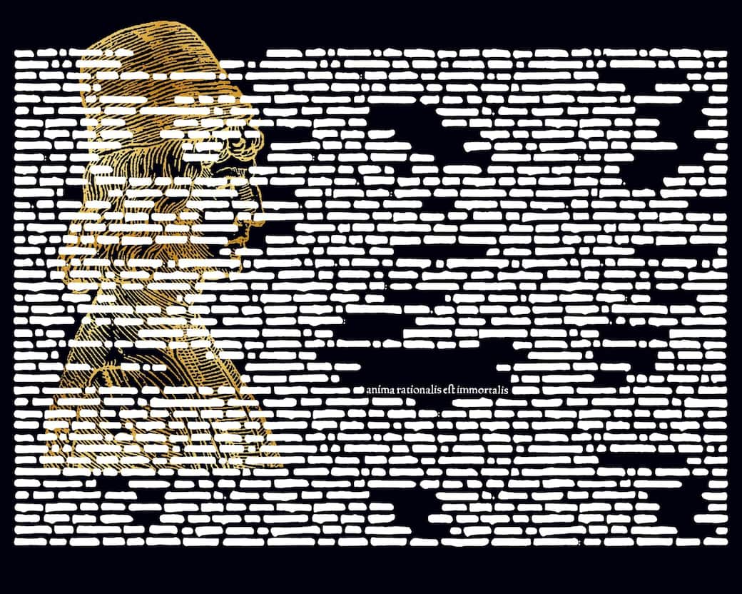 Anima-rationalis-2014-1920x1536.jpeg