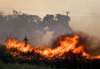 epa10811576 A firefighter stands behind flames during a wildfire in the Avanta area, near Egnatia Odos motorway, in Alexandroupolis, Thrace, northern Greece, 21 August 2023. The wildfire that broke out early on 19 August in a forest in the Melia area of Alexandroupolis has spread rapidly due to the strong winds blowing in the area and is raging uncontrolled.The major wildfire in Alexandroupolis continues with unabated intensity for the third consecutive day. According to the Fire Department, the fire is difficult to be contained due to the strong winds in the area.  EPA/DIMITRIS ALEXOUDIS