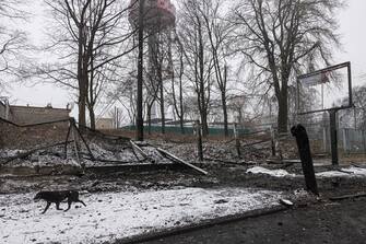 Kiev