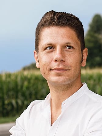 Elezioni comunali Trieste, i candidati