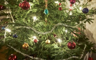 albero natale