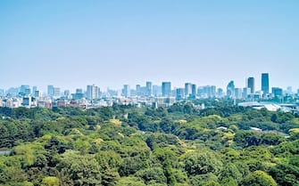 Shinjuku Gyoen National Garden.