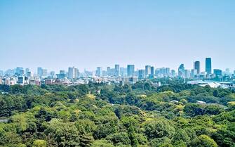 Shinjuku Gyoen National Garden.