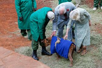 epa10952841 Britain's King Charles (C) and Queen Camilla (R) interact with an orphaned rhino during their visit at the Sheldrick elephant orphanage, on the outskirts of Nairobi, Kenya, 01 November 2023. Britain's King Charles III and his wife Queen Camilla are on a four-day state visit starting on 31 October 2023, to Nairobi and Mombasa. This will be the first official visit by Their Majesties to an African nation and the first to a commonwealth member state since their coronation in May 2023.  EPA/THOMAS MUKOYA / POOL