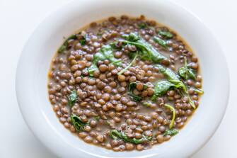 Close-up of plate of lentils with spinach, Brussels, Belgium