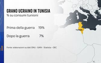 Le grafiche di Numeri sul grano