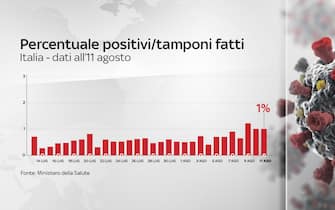 coronavirus, grafiche