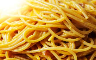 Close-up view of spaghetti with carbonara sauce. Typical Roman recipe with eggs, bacon, pecorino romano and parmesan. Typical Italian food and recipes