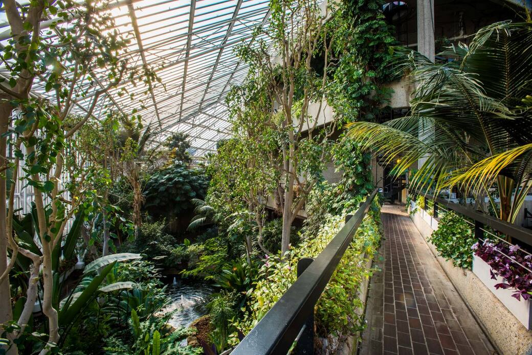Londra, Barbican Conservatory. Credit photo © Max Colson