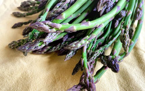 Raw and fresh green asparagus sticks on yellow cloth background. Soft focus photo.