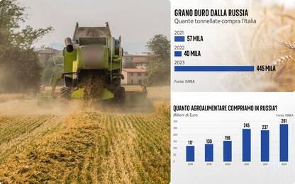 Grano russo, arrivate 445mila tonnellate in Italia nel 2023