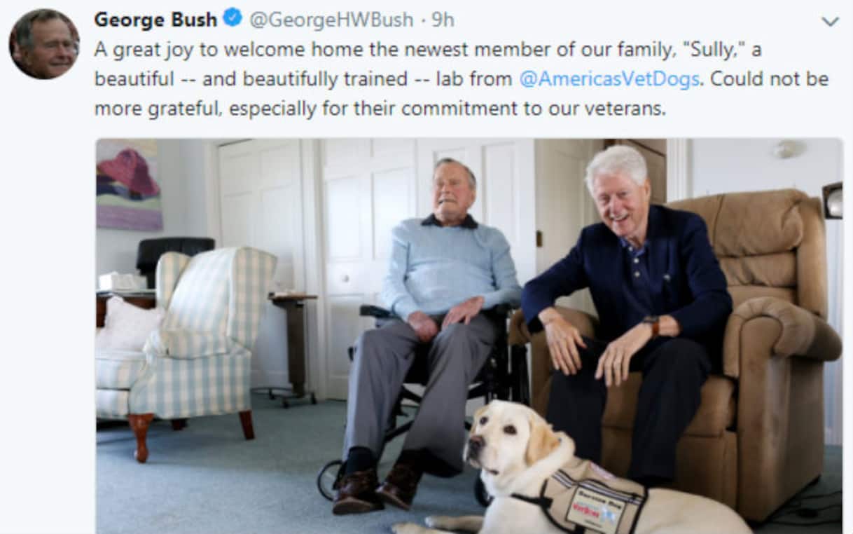 Usa, George H.W. Bush presenta 'Sully', il suo nuovo labrador | Sky TG24