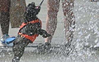 Persone si rinfrescano nelle fontane di piazza castello a causa del caldo a Torino,8luglio 2023 ANSA/ALESSANDRO DI MARCO 