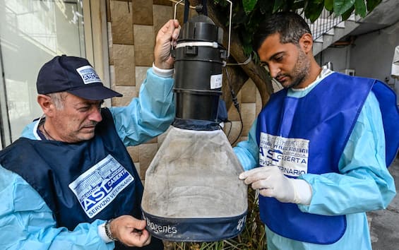 West Nile, nuovi casi in Italia. Limitazioni su donazioni sangue ma niente allarmismi