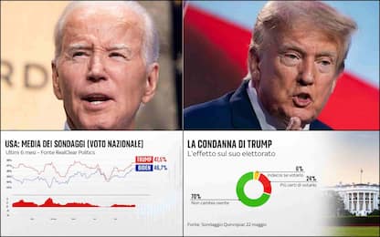 Elezioni Usa, cosa dicono i sondaggi a 5 mesi dal voto