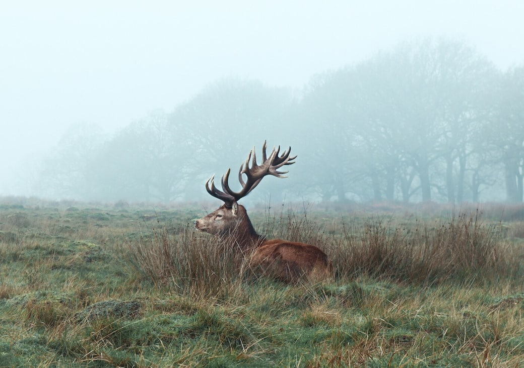 Foto di Yuya Yoshioka su Unsplash