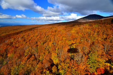 Aomori, immersione nella natura autunnale