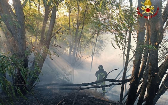 incendi legambiente in italia bruciati 56263 ettari pi249 del 2024