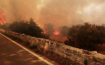 incendio andria