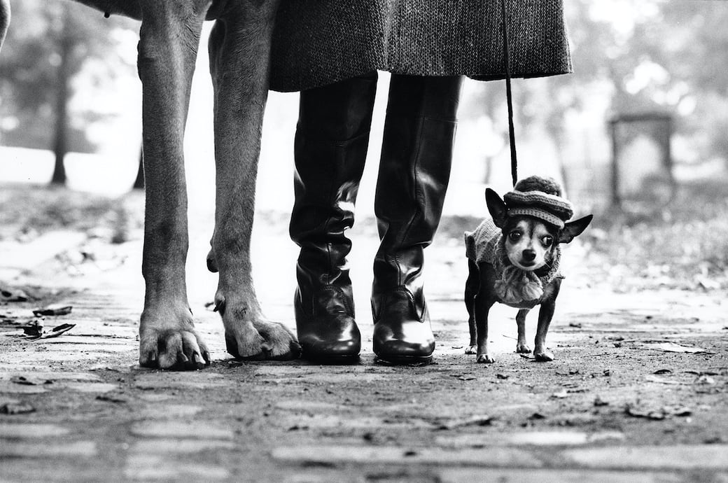 New_York_1974_Felix_Gladys_and_Rover-Elliott_ERWITT-b.jpeg