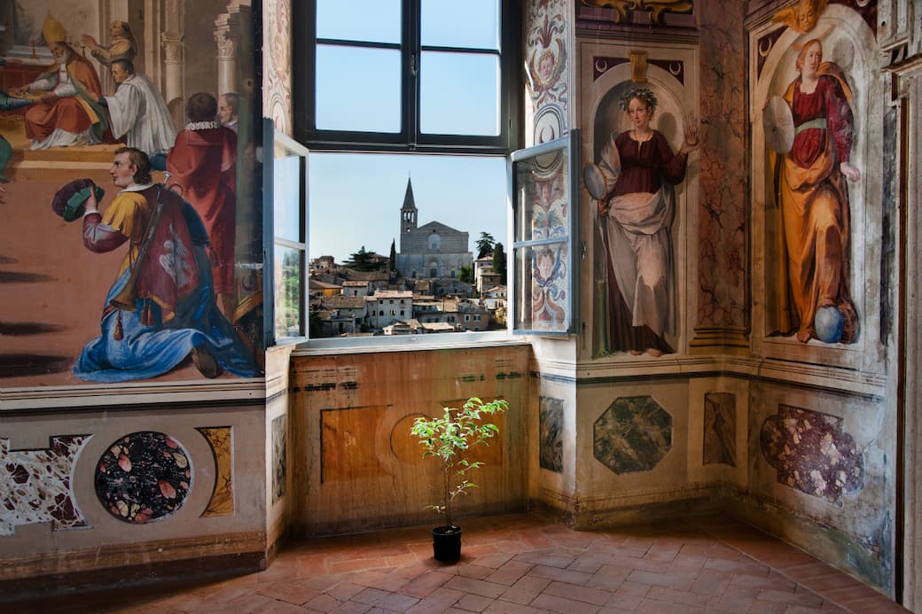 Steve McCurry, Luce del sole su una pianta sotto una finestra aperta. Todi, Umbria, Italia, 2012. ©Steve McCurry All rights reserved