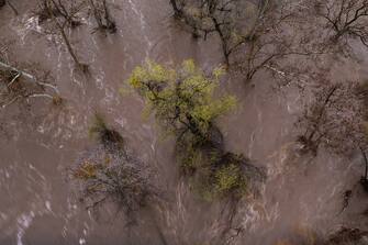 SPRINGVVILLE, CA - MARCH 10: In an aerial view, trees are surrounded by the flood waters of the Tule River on March 10, 2023 near Springville, California. Another in a series of atmospheric river storms from the Pacific Ocean has brought a warm rain to the region, which is falling on top of, and melting, large areas of snow in the Sierra Nevada Mountains, increasing the risk of floods at lower elevations. This years  destructive and deadly storms have produced heavy rains and a near-record snowpack in the Sierras, which provides water for millions of Californians. As a result of one of Californias wettest winters on record, most of the state has gotten relief from years of drought. (Photo by David McNew/Getty Images)