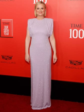 NEW YORK, NEW YORK - APRIL 26: Amy Poehler attends the 2023 Time100 Gala at Jazz at Lincoln Center on April 26, 2023 in New York City. (Photo by Taylor Hill/FilmMagic)