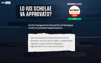 Elezioni programmi partiti ius scholae