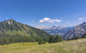 Un paesaggio montuoso in Val di Fassa, 7 luglio 2023. ANS (montagna, vacanza, vacanze, monti, montagne, bosco, alberi, natura, paesaggi, simbolica, generica)