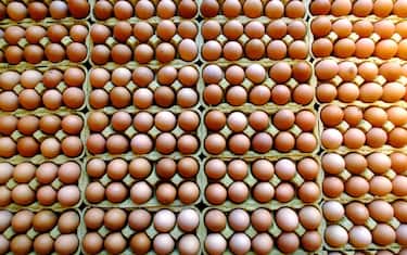 L'aumento dei prezzi delle uova negli Stati Uniti