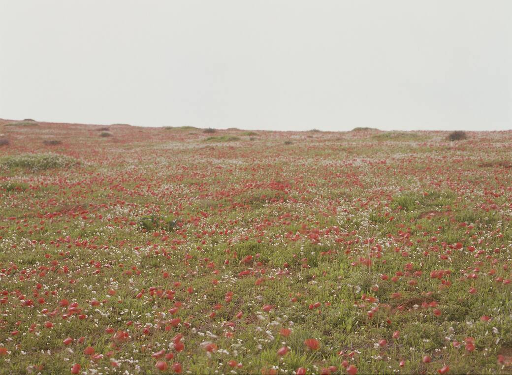 Ubique_180x244cm.jpg