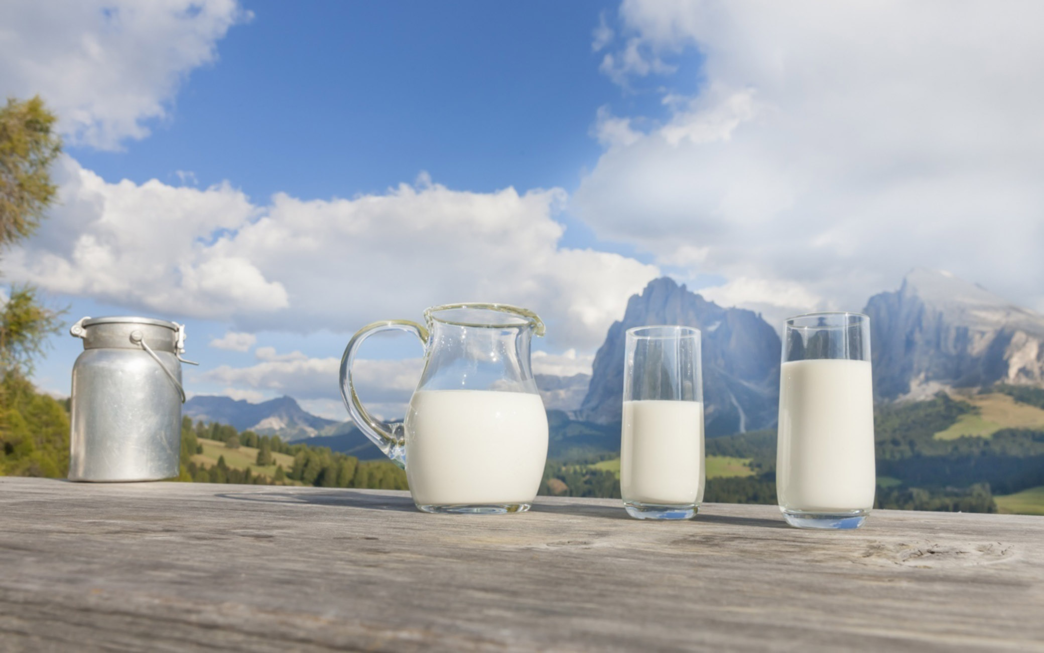 ECCELLENZE QUALITA' ITALIA CIBO