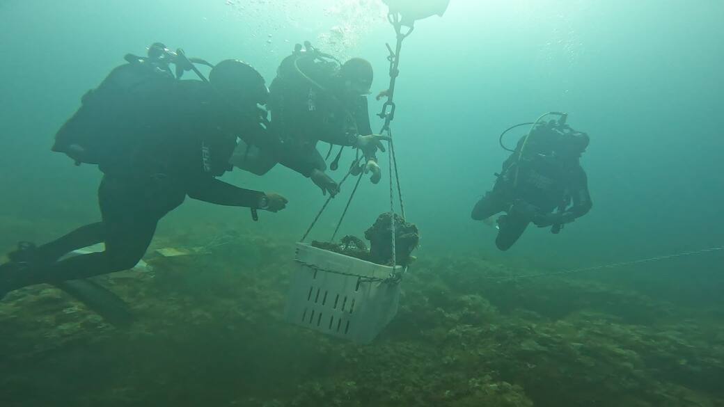 Foto Emiliano Peluso del Dipartimento di Beni culturali - Università del Salento