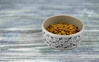 Dry pet food in a ceramic bowl on wooden background. Copy space