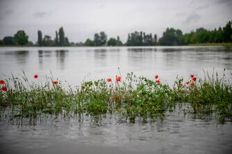 LUGO, ITALY - MAY 19: A general view shows a flooded farmland during heavy rains caused flooding across Italy's northern Emilia Romagna region, on May 19, 2023 in Lugo, Italy. Fourteen people have died and thousands have been evacuated from their homes after torrential rain wreaked mayhem in the northern Italian region of Emilia-Romagna, causing severe flooding and landslides. (Photo by Antonio Masiello/Getty Images)