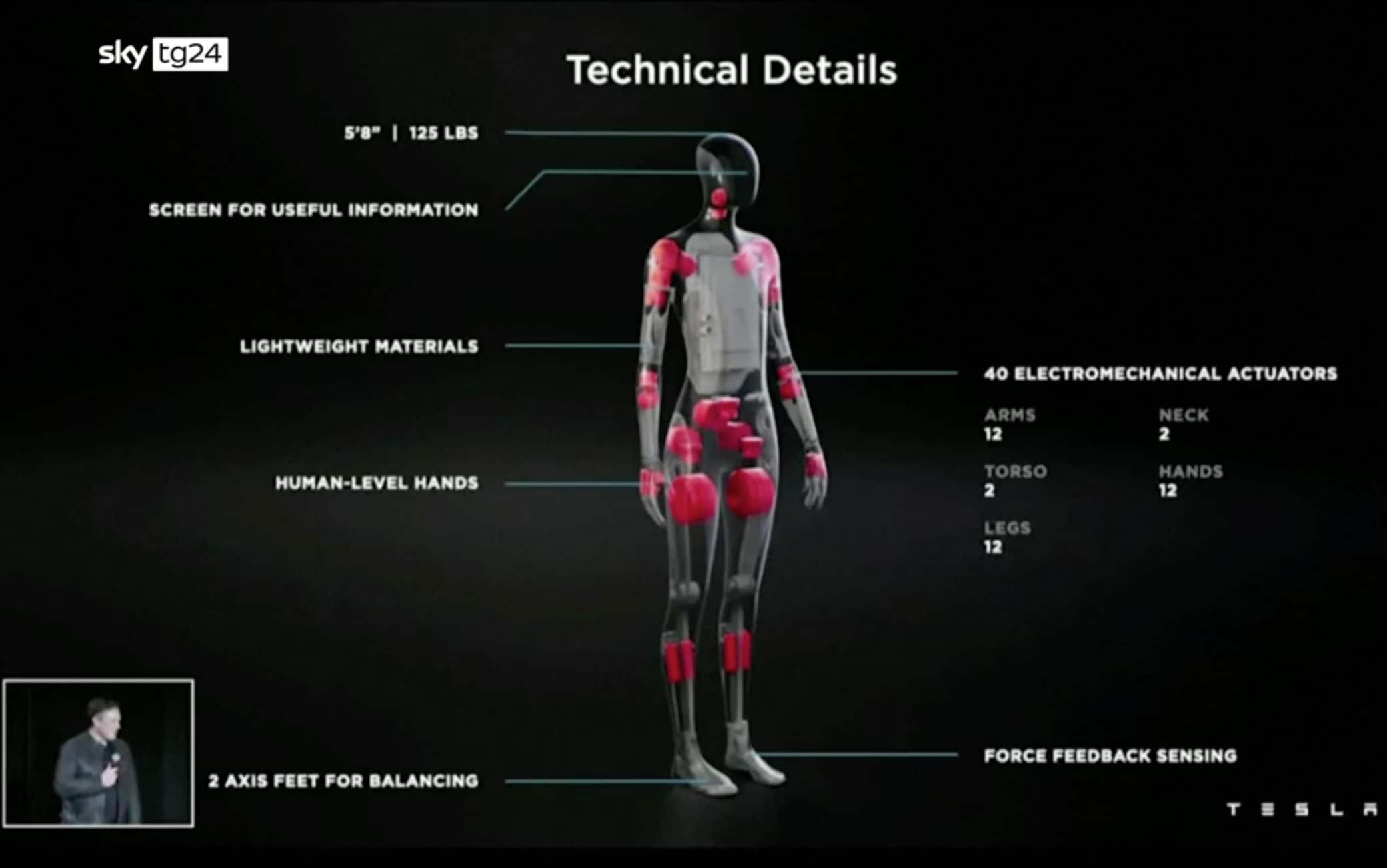 Il modello di Tesla Bot