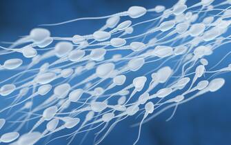 3D illustration of sperm going for the egg