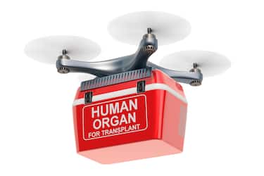 Delivery drone with portable fridge for transporting donor organs, 3D rendering