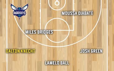CHARLOTTE HORNETS