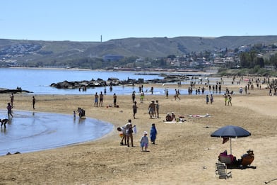 Crotone, muore per la paura dopo essere stato assalito da vespe