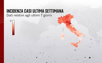 Grafiche coronavirus: l'incidenza dei casi nell'ultima settimana