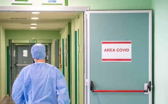 Covid, variante Nimbus in crescita: allerta Oms per aumento contagi