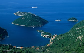 Saplunara