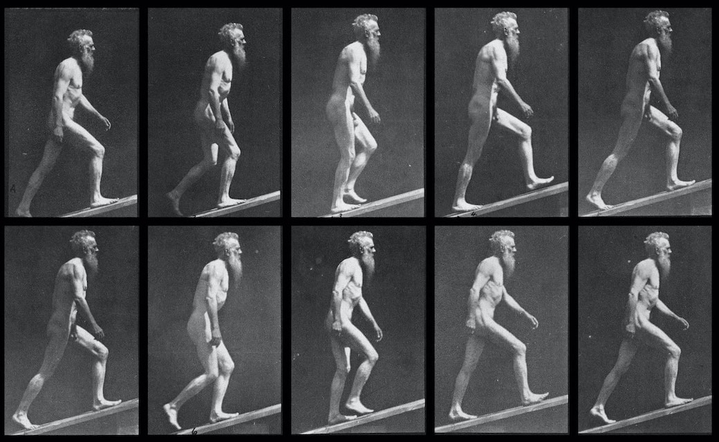 Un dettaglio della copertina di “Un fiume di ombre. Eadweard Muybridge, un fotografo nel selvaggio, tecnologico West”