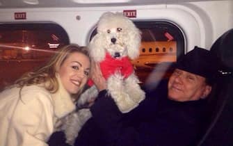 Francesca Pascale e Silvio Berlusconi in aereo con il cane Dudù in una foto pubblicata sul profilo Facebook dedicato al cagnolino, 15 dicembre 2013. ANSA/ FACEBOOK ++HO - NO SALES EDITORIAL USE ONLY NO ARCHIVE++