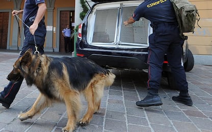 Donna scomparsa a Gambolò: la Procura di Pavia chiede l'archiviazione